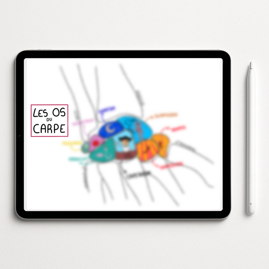 Os du carpe