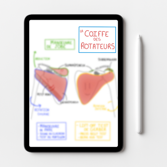 Coiffe des rotateurs
