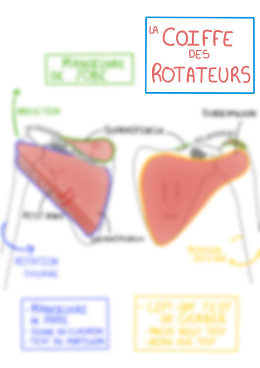 Coiffe des rotateurs